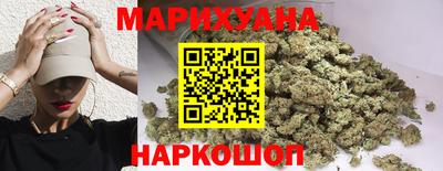 трава Гатчина