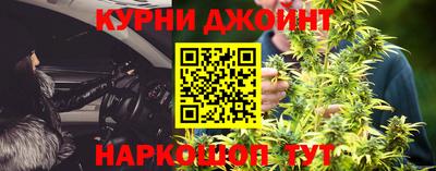 трава Гатчина