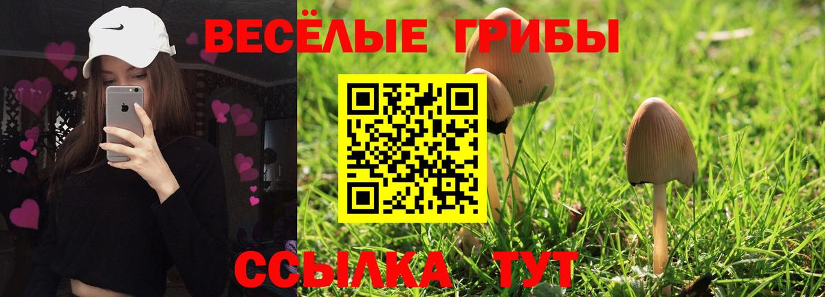 Псилоцибиновые грибы Psilocybine cubensis Нефтеюганск
